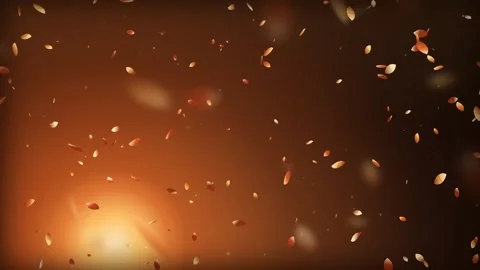 Cinematic autumn emberfall looping animation Stock-Footage 342729089