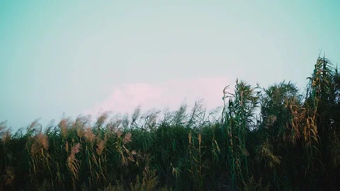 Cinematic background for titles 動画素材 105083358