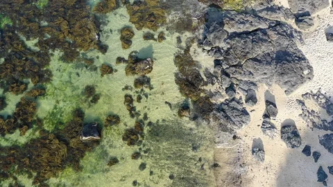 Cinematic Beach birds eye view flyover, clear water (4K drone footage) Stock Footage