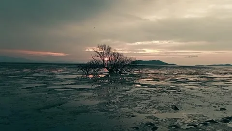 Cinematic beach sunset 库存影片 247361409