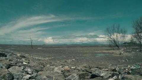 Cinematic beach timelapse 库存影片 247629398