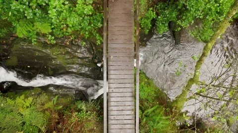 Cinematic bridge over waterfall river in green rainforest, Nature background 4K 스톡 동영상 166876637