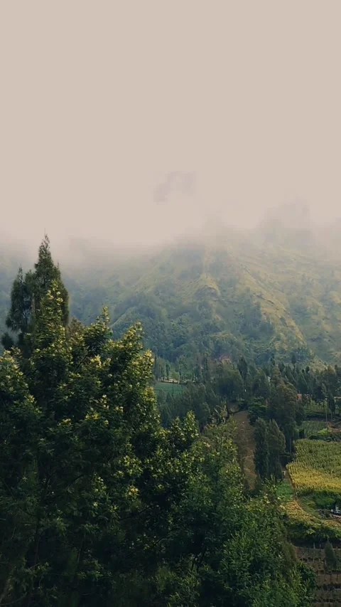 Cinematic in bromo Stock Footage 211902265