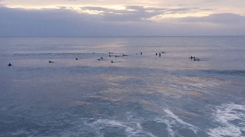 Cinematic camera circles surfers at dusk Stock Footage 112699031