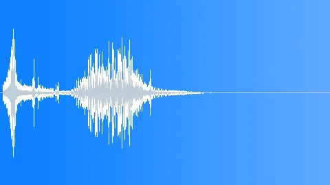 Sound Effect: Cinematic Camera Flash Shot Transition 02 ~ #313655967