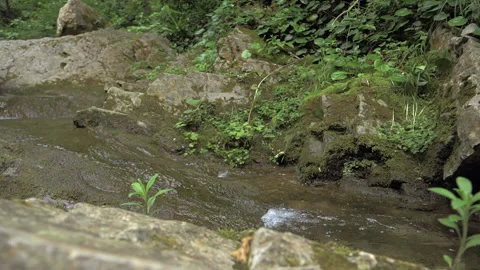 Cinematic camera movement over the rocks. Camera moves smoothly to the stream Stock Footage 154222229