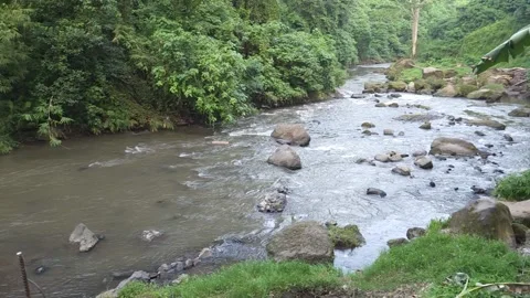 Cinematic Camera Movement from River to Suspension Bridge in Tegenungan, Bali Stock Footage 340322518