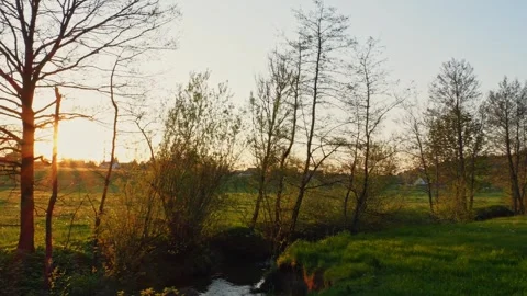 Cinematic Camera Pan Through the Forest at Sunset, Capturing Warm Sunbeams Fi Stock Footage 309046383