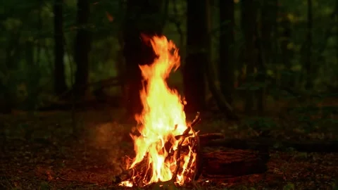 Cinematic Campfire Loop with Active Flames 库存影片 342505239