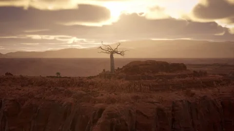 Cinematic Canyon at Sunset Video stock 217861873