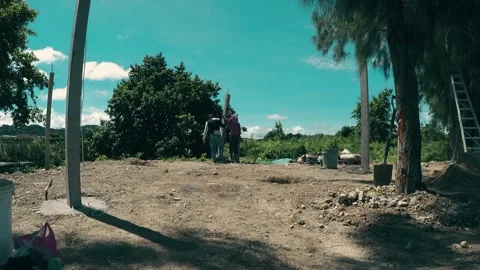 Cinematic carpanter 库存影片 247628914