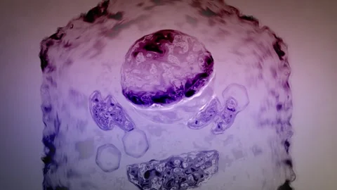 Cinematic Cell Nucelus Membrane and Mitochondria - Purple Color Grade Stock Footage 310609892