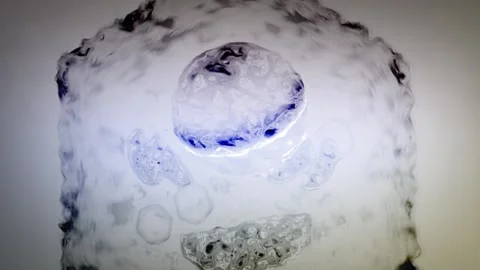 Cinematic Cell Nucelus Membrane and Mitochondria - Blue Color Grade Stock Footage 310609894