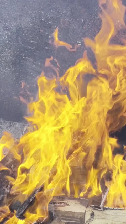 Cinematic close up of burning logs with flames and glowing embers Video stock 332567324