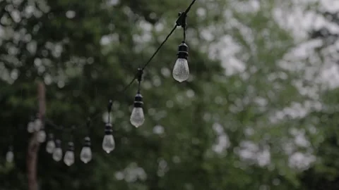 A cinematic close-up clip captures rain falling on string lights with lush .. 動画素材 337718474