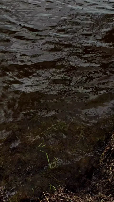 Cinematic close-up of dark river water rippling near the shore Stock Footage 334228505