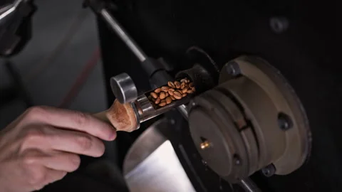 Cinematic close-up of a roaster checking freshly roasted coffee beans. 動画素材 327396141