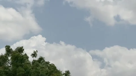 Cinematic Cloud Timelapse Over Blue Sky and Green Tree Stock Footage 331645778