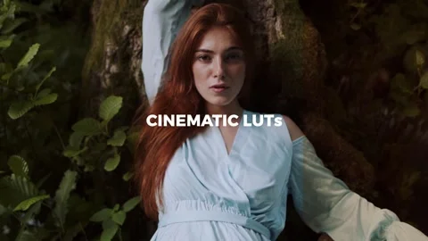 Cinematic Color LUTs Stock After Effects