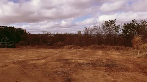Cinematic Desert Landscape Stock Footage 318081374