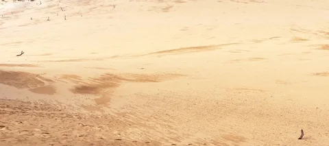 Cinematic Desert Pan Stock Footage 108476589