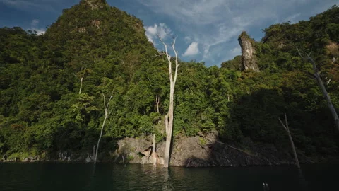 Cinematic Detailed View of Massive Limestone Cliff Surface, Vertical Rock Walls 库存影片 334680468