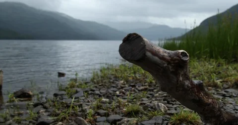 Cinematic dolly shot of piece of tree, wood, timber in the beach of famous Lake Vídeos de archivo 99402964
