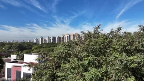 Cinematic drone ascent from behind a tree, revealing a stunning blue sky, the Vídeo Stock 339102245