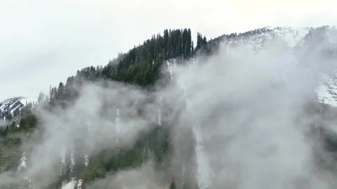 Cinematic drone ascent through rolling clouds to reveal Himalayan pine trees. Stock-Footage 333798667