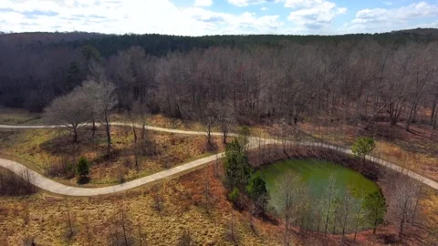 Cinematic Drone Backward Fly-Through of Trees in Nature Stock Footage 326163788
