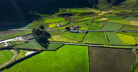 Cinematic drone dolly forward view of patchwork farmland greenery Video stock 335992277