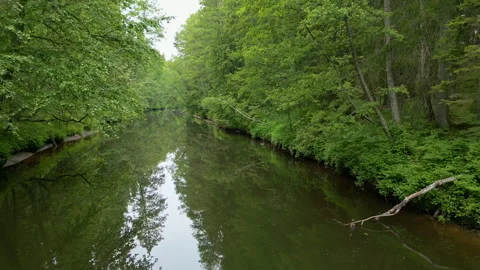 Cinematic drone flight above a calm forest river Stock Footage 345348300