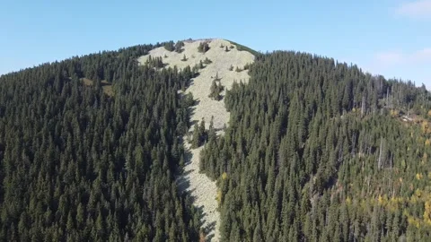 Cinematic Drone Flight Above Mountain Wilderness with Forest and Boulder Fields Stock Footage 342925195