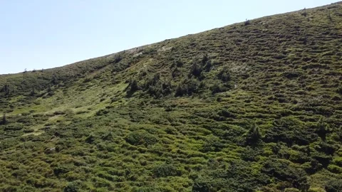 Cinematic Drone Flight Along Mountain Ridge in Green Summer Wilderness Stock Footage 338103995