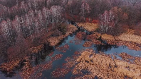 Cinematic drone flight backwards over Milickie Stawy in winter with an abstract Stock Footage 323331028