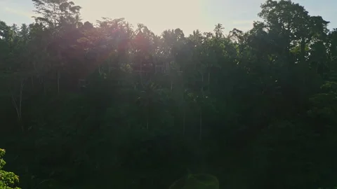 Cinematic Drone Flight Over Bali Countryside Mount Agung 4K UHD Stock Footage 340283341