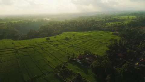 Cinematic Drone Flight Over Bali Countryside Mount Agung 4K UHD Видео 340481859