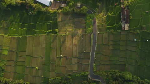 Cinematic Drone Flight Over Bali Countryside Mount Agung 4K UHD Видео 340481994