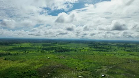 Cinematic Drone Flight Over Beautiful Green Grasslands Stock Footage 336859641