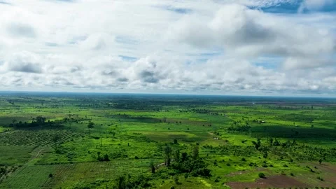Cinematic Drone Flight Over Beautiful Green Grasslands Stock Footage 336859646