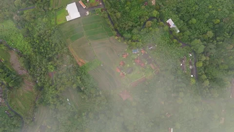 Cinematic Drone Flight Over Eco Resort Rice Terraces Tabanan 4K Stock Footage 341933470