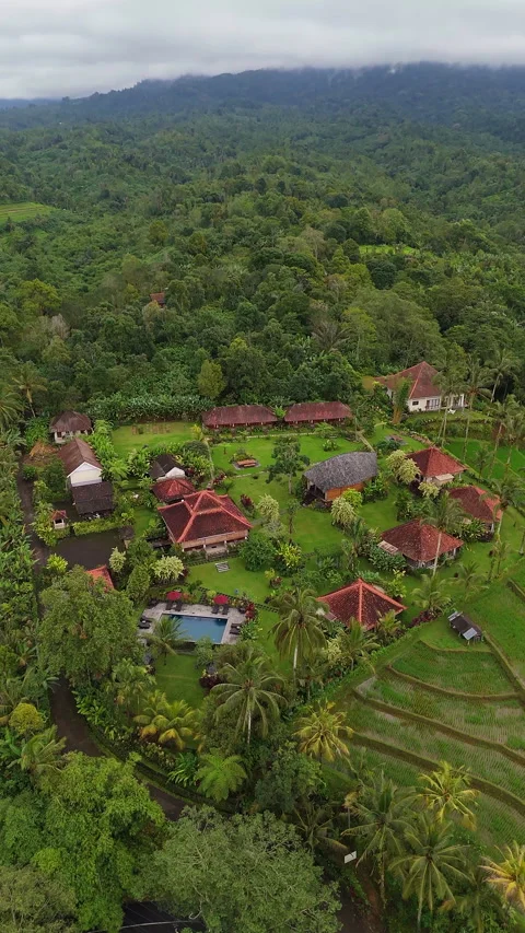 Cinematic Drone Flight Over Eco Resort Rice Terraces Tabanan 4K 動画素材 341942762