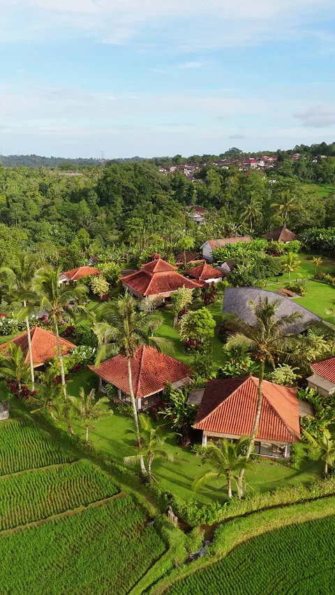 Cinematic Drone Flight Over Eco Resort Rice Terraces Tabanan 4K 库存影片 341951927