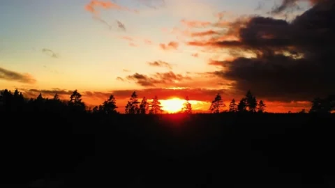Cinematic drone flight over a forest into a beautiful sunset Stock Footage 183002725
