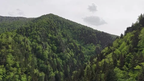 Cinematic Drone Flight Over Forested Hill in 4K 스톡 동영상 338232247