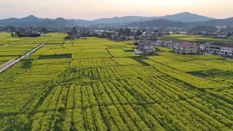 Cinematic Drone Flight over a Hidden Gem Village in China Stock-Footage 332256395