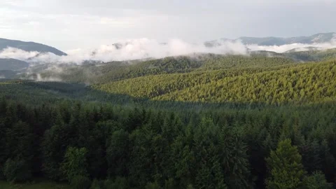 Cinematic drone flight over misty mountain valley at sunset Stock Footage 338104701