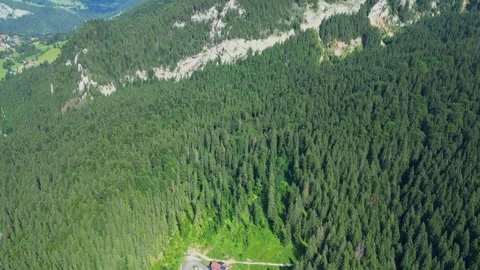 Cinematic Drone Flight Over Pine Forest and Mountain Landscape Stock Footage 318712788