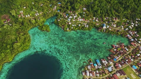 Cinematic Drone Flight Over Remote Sulawesi Palm Coastline 4K UHD Stock-Footage 337137498