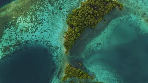Cinematic Drone Flight Over Remote Sulawesi Palm Coastline 4K UHD 動画素材 337137611